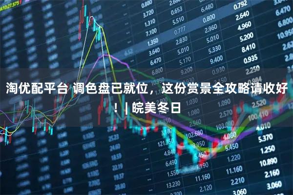 淘优配平台 调色盘已就位，这份赏景全攻略请收好！| 皖美冬日