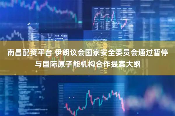 南昌配资平台 伊朗议会国家安全委员会通过暂停与国际原子能机构合作提案大纲