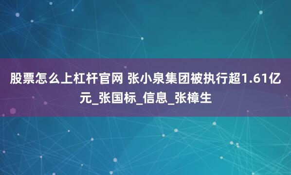 股票怎么上杠杆官网 张小泉集团被执行超1.61亿元_张国标_信息_张樟生