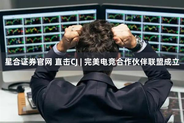 星合证券官网 直击CJ | 完美电竞合作伙伴联盟成立